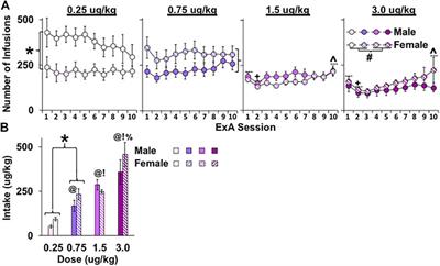 Sex- and Dose-Dependent Differences in the Development of an Addiction-Like Phenotype Following Extended-Access Fentanyl Self-Administration